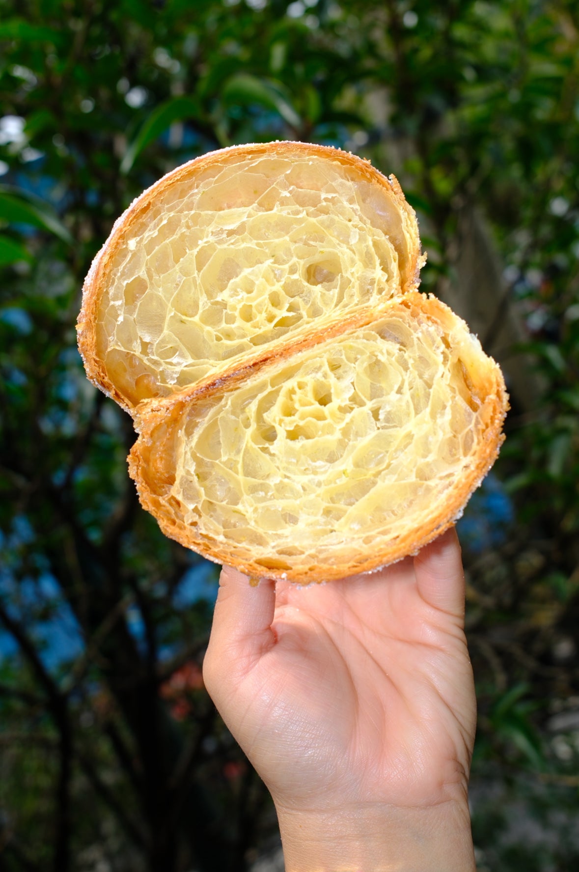 Croissant de muerto